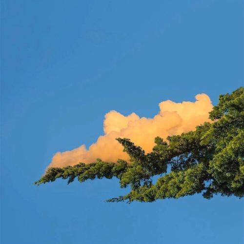 老陌